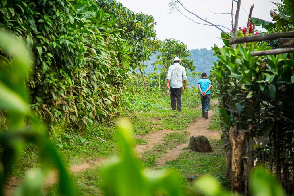 Father and son in Mexico