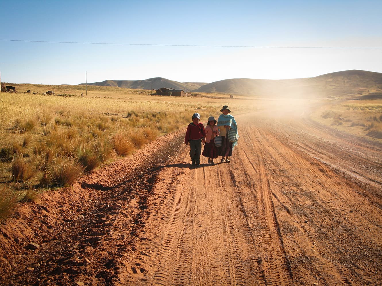 remote Compassion projects