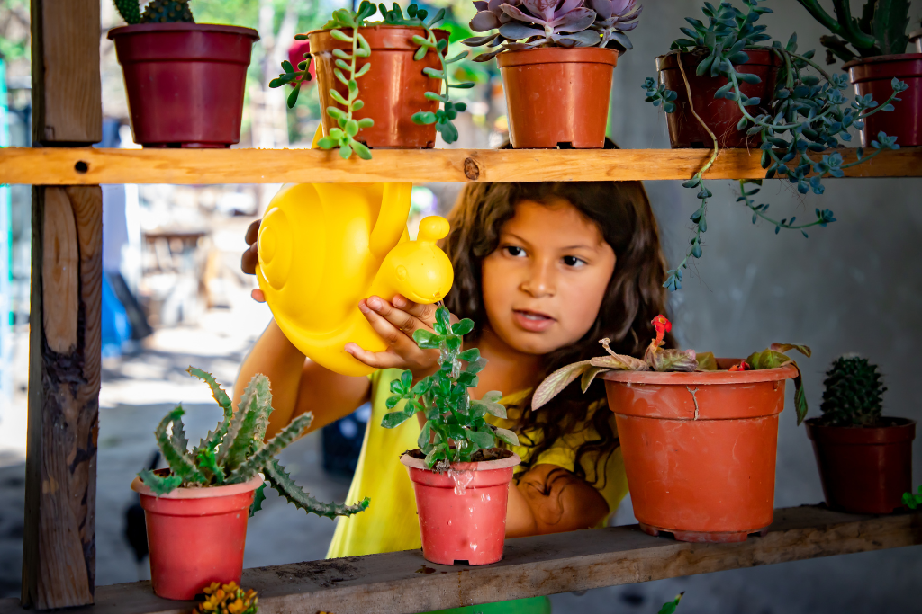 Plants can make wonderful ethical Christmas gifts